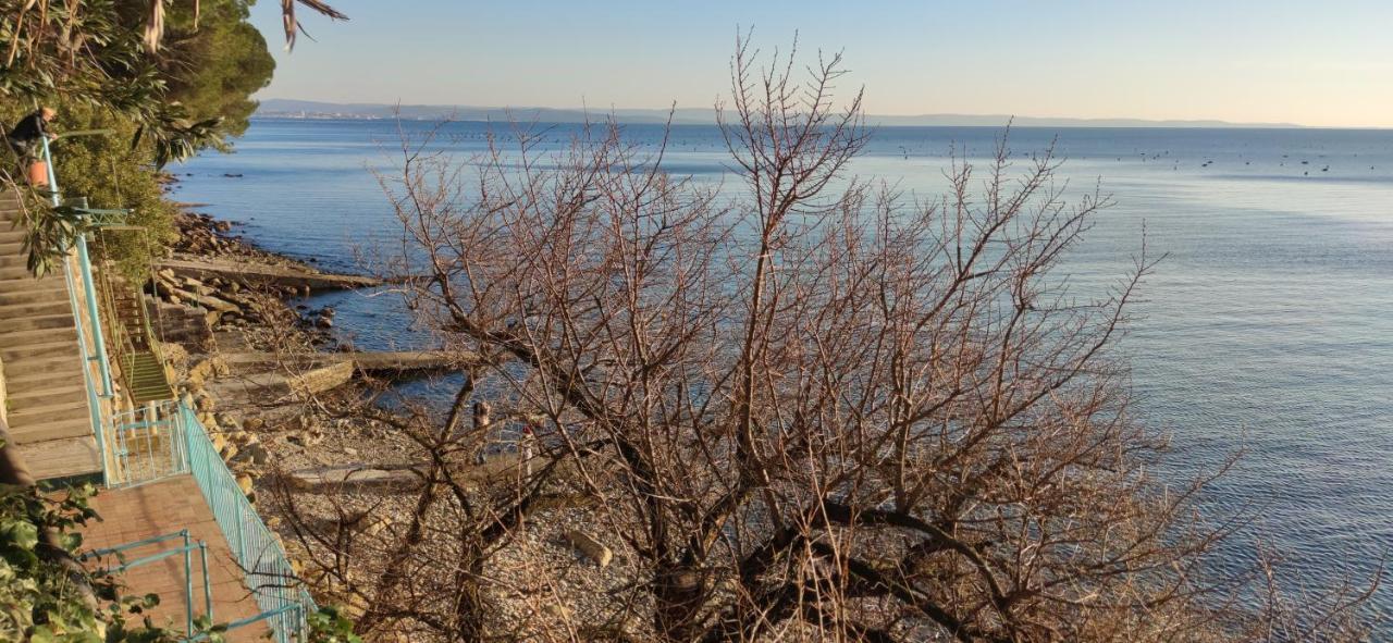 Locazione Turistica Sul Mare Strada Costiera 244, Trieste Santa Croce Mare Dış mekan fotoğraf
